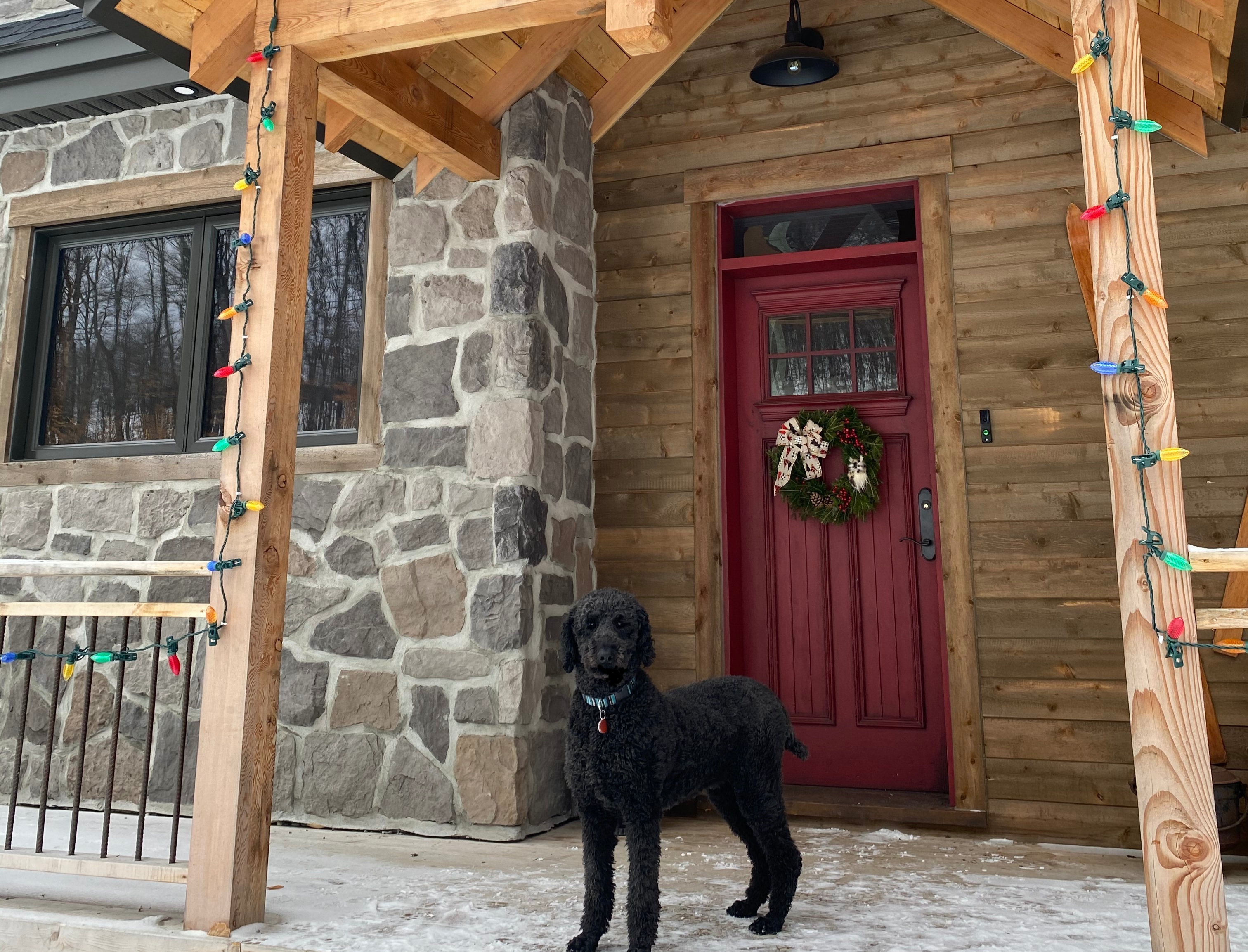 Portes rustiques pour une Timber Frame